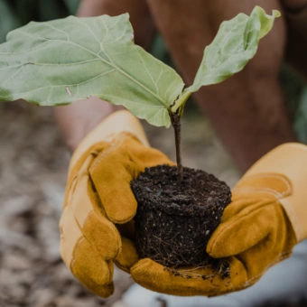 減塑生活 守護地球
